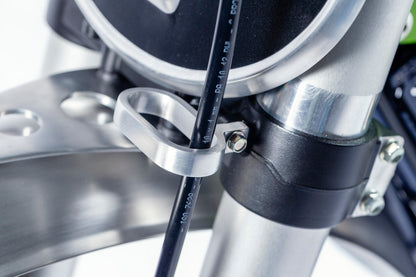 Kawasaki W800 - Cross Vintage