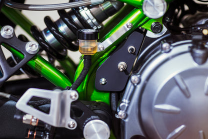 Kawasaki Z650 - Flat Track