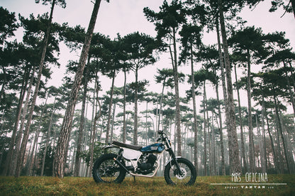 Suzuki Van Van - Scrambler