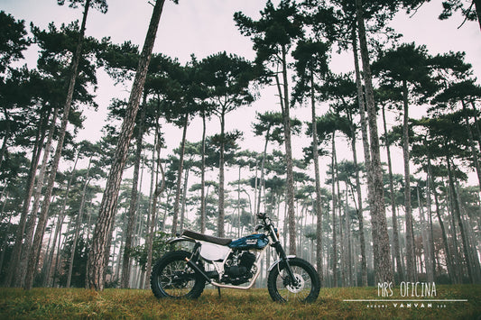 Suzuki Van Van - Scrambler